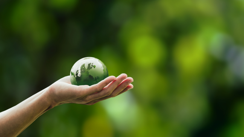 Entenda com Fernando Trabach Filho os impactos cruzados entre sustentabilidade ambiental e responsabilidade fiscal na era do carbono.