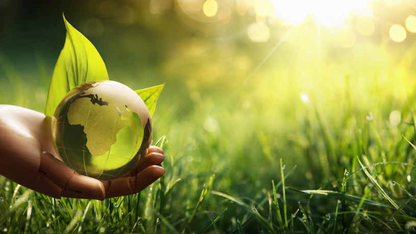 Com a visão de João Eustáquio De Almeida Junior, o texto aborda como a regulação do mercado de carbono redefine desafios e oportunidades para o agro brasileiro.